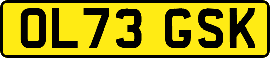 OL73GSK