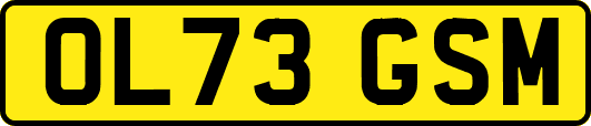 OL73GSM