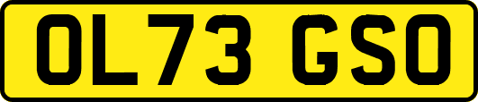 OL73GSO