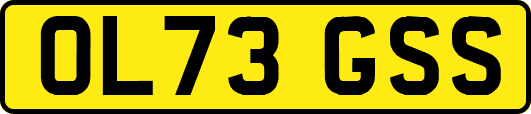 OL73GSS
