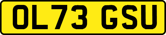 OL73GSU