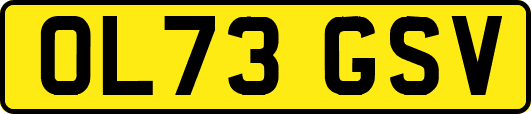 OL73GSV