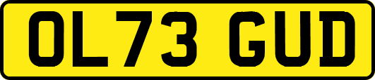 OL73GUD