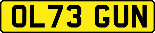 OL73GUN