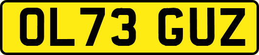 OL73GUZ