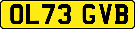 OL73GVB