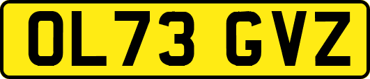 OL73GVZ