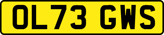 OL73GWS