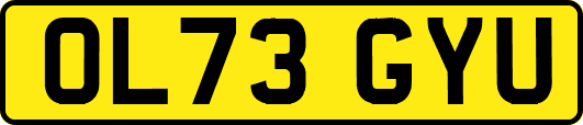 OL73GYU