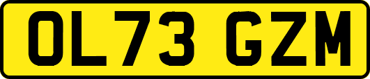 OL73GZM