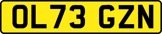 OL73GZN