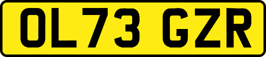OL73GZR
