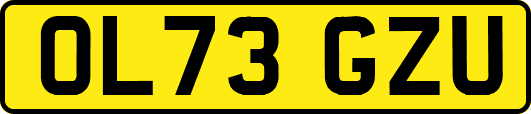 OL73GZU