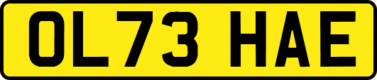 OL73HAE