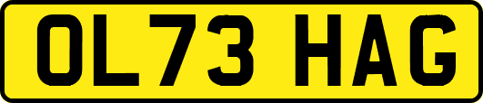 OL73HAG
