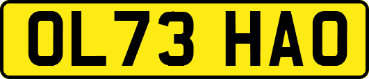 OL73HAO