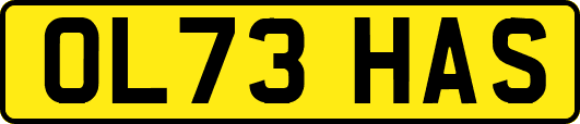 OL73HAS
