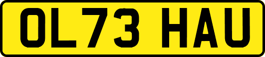 OL73HAU