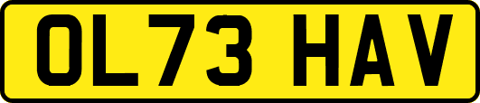 OL73HAV