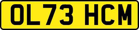 OL73HCM