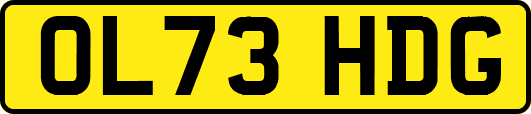 OL73HDG
