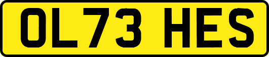 OL73HES