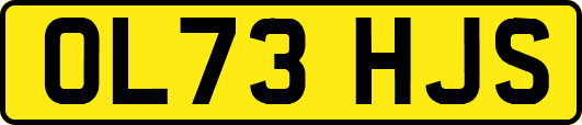 OL73HJS