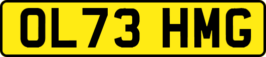 OL73HMG