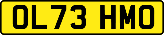 OL73HMO