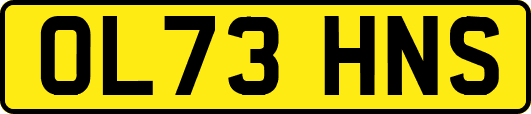 OL73HNS