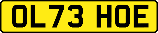 OL73HOE