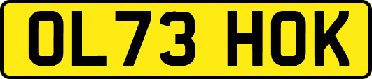 OL73HOK