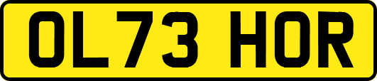 OL73HOR