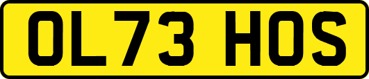 OL73HOS