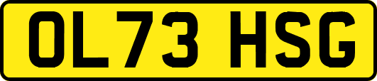 OL73HSG