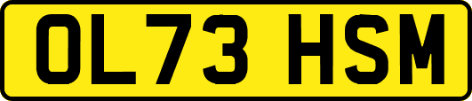 OL73HSM