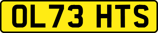 OL73HTS