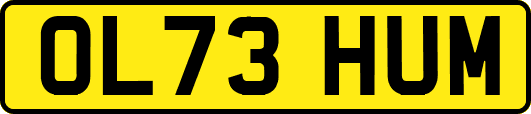 OL73HUM