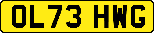 OL73HWG