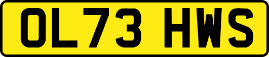 OL73HWS