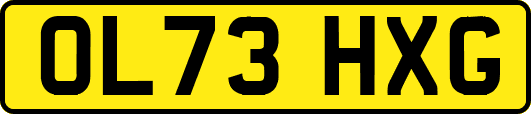 OL73HXG