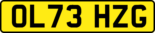 OL73HZG