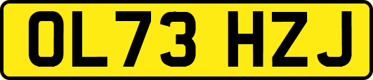 OL73HZJ