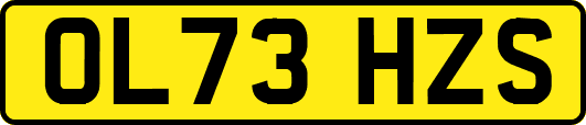 OL73HZS
