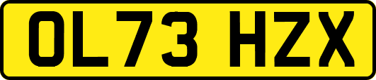 OL73HZX