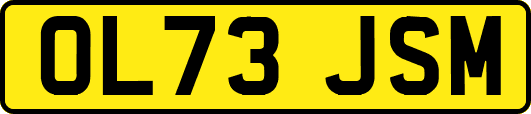 OL73JSM