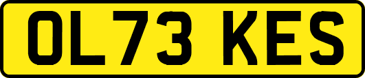 OL73KES