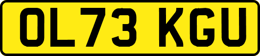 OL73KGU