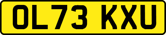 OL73KXU