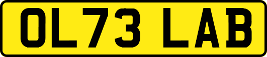 OL73LAB